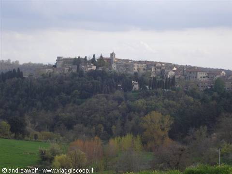 View of the village of Trequanda (SI)