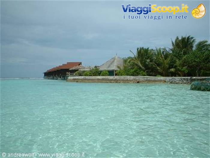 Bar and Over Water Bungalow