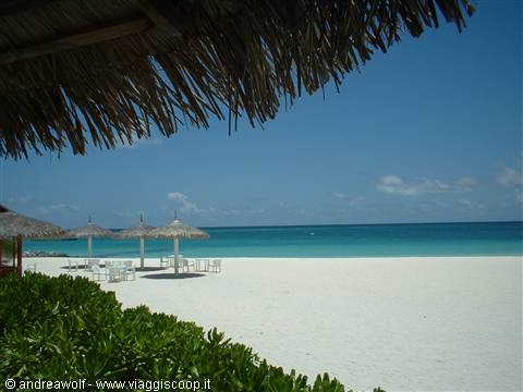 Paradise at Laguna