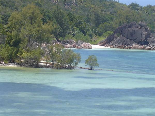 Curieuse Island, Praslin