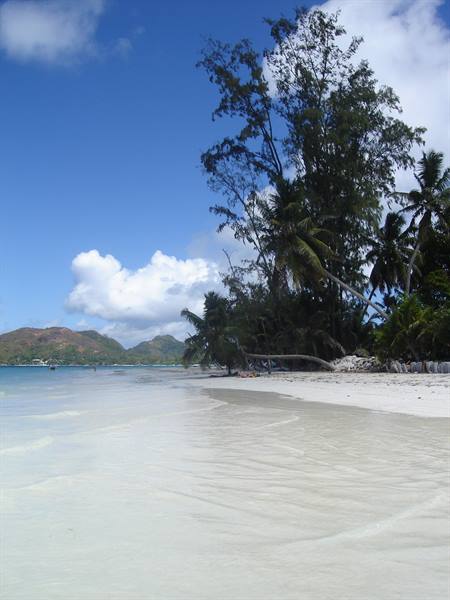 White sand and turquoise water on Côte d'Or beach, Praslin