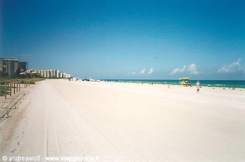 White sand beach with lifeguard tower, high-rise buildings and blue sky, Miami Beach