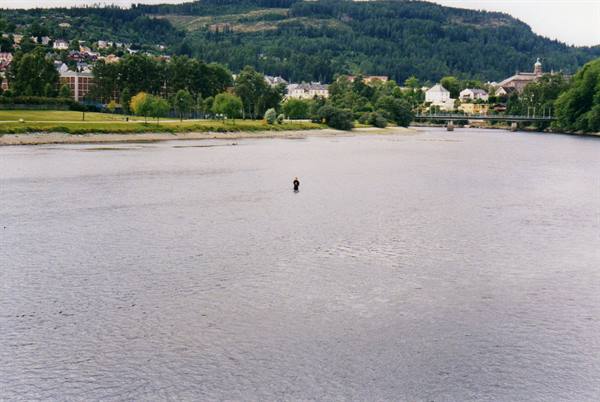 Fisherman wading in the Nidelva river, Trondheim, houses and forest behind
