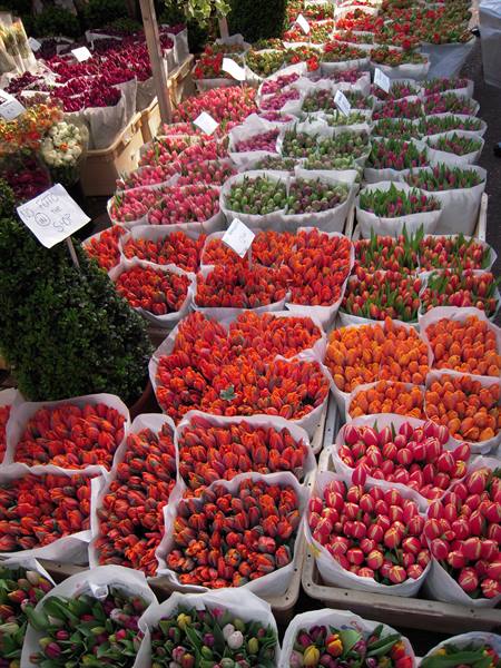Flower market