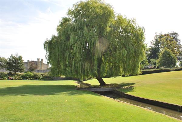 The wonderful garden of Leeds Castle