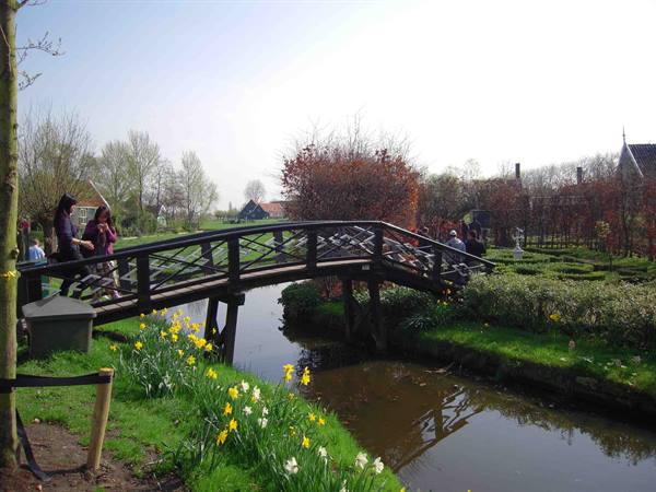 Tourists cross a wooden footbridge over a canal with yellow daffodils