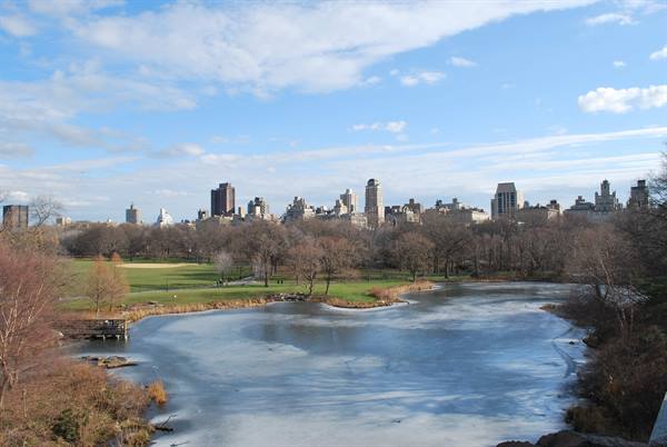 Central Park