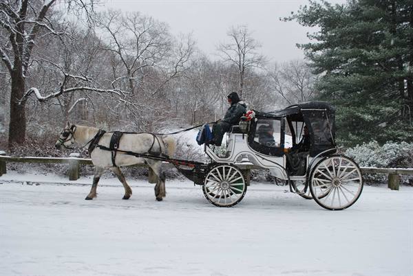 Romantic snowfall in NYC