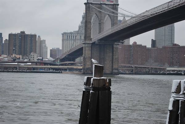 View of NYC under the snow