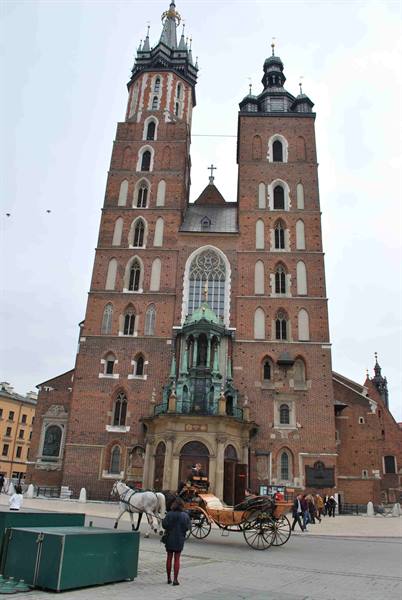 White horse carriage in front of the brick facade of St. Mary's Basilica, Kraków