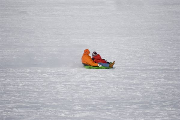 Alternatively, sledging