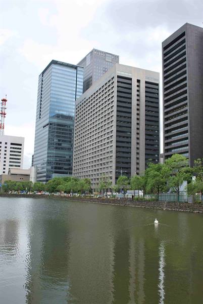 Buildings near the royal area
