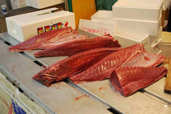 Tokyo fish market