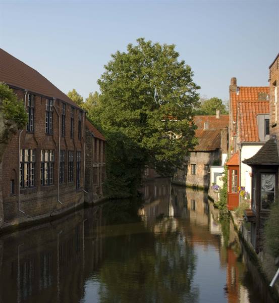 Bruges canal flanked by red brick houses, tree reflected in calm water