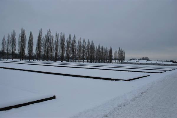 Snow-covered barrack foundations under grey sky, row of bare poplars, Dachau memorial