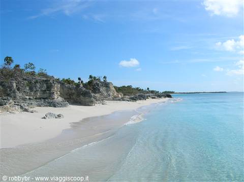 Water Cay (iguana island)