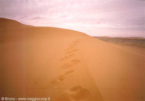 Diwana dunes