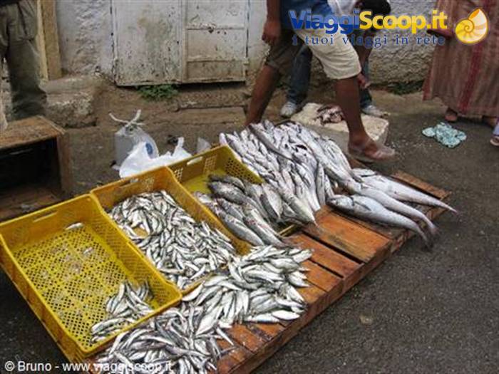 Rabat - Fish market
