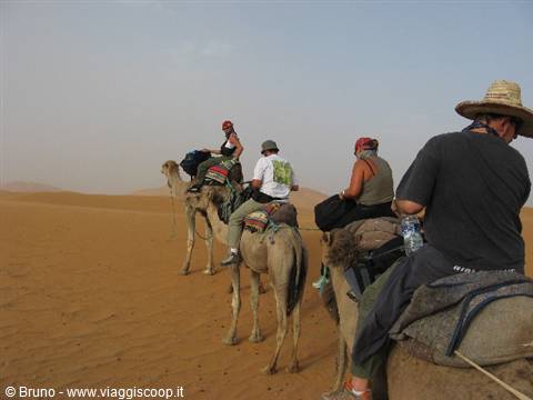 Towards the Obera Oasis