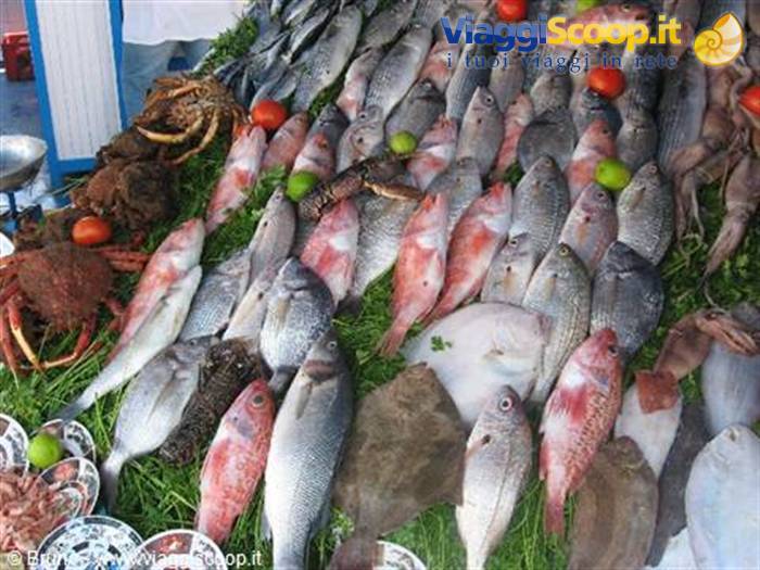 Fish market in Essaouira