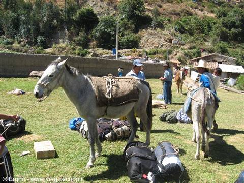 Preparations for the start of the trekking in the Cordillera Blanca