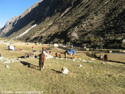 Trekking in the Cordillera Blanca - First camp