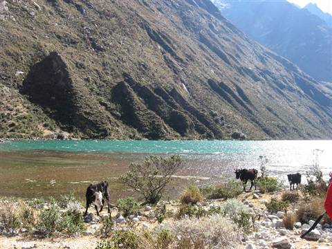 Trekking in the Cordillera Blanca - Landscape of the second stage