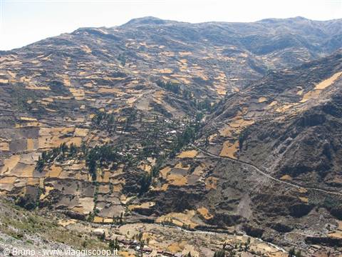 Cordillera Blanca - Fields cultivated near Chavin