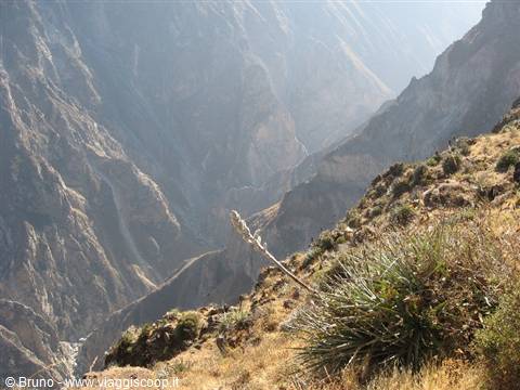 Colca Canyon