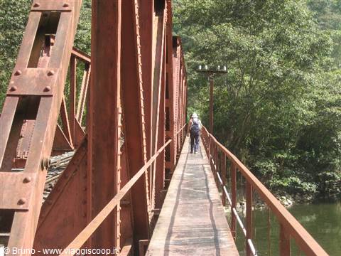 Trek in the amazon jungle - On the march in the second stage