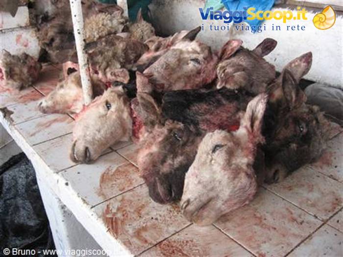 Market of Cuzco - Goat heads