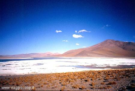Laguna Polchis