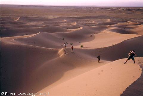 On the dunes