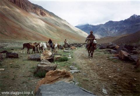 Colours of Ladakh