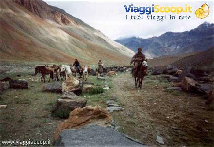 Colours of Ladakh