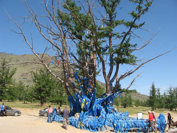 Sacred tree of Zuun Salaa Mod