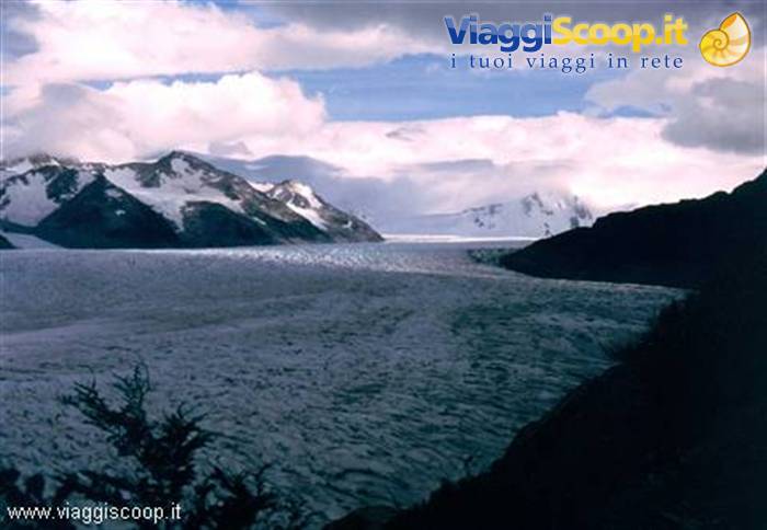 The Grey Glacier