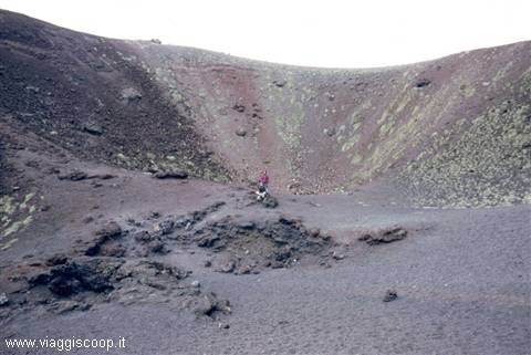 Silvestri Craters