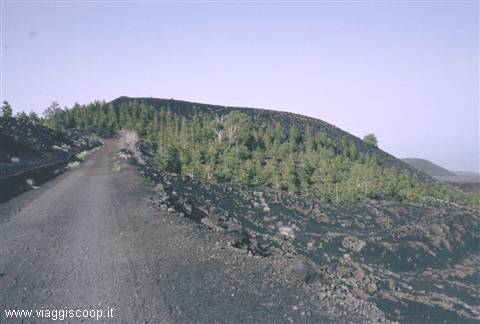 Trekking trail