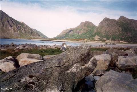 Lofoten Islands