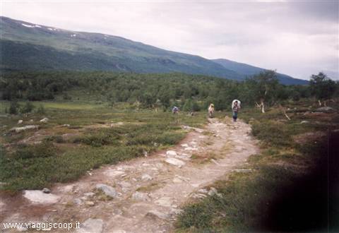 During the first stage