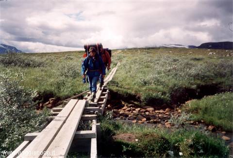 During the second stage