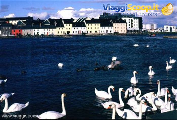 Galway Bay
