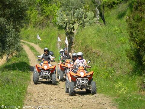 Group riding orange quad bikes on dirt path among prickly pears and greenery