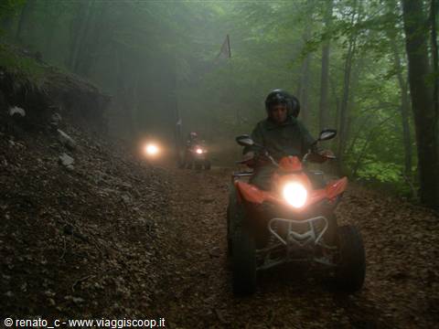 Riders on red quad bikes with headlights on through misty forest trail