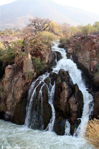 Waterfall rushing over dark rocks among baobab trees, white foam below