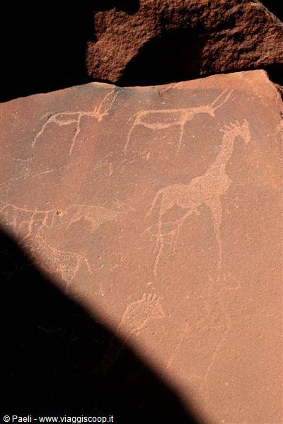 Rock engravings of giraffes and antelopes on red stone at Twyfelfontein