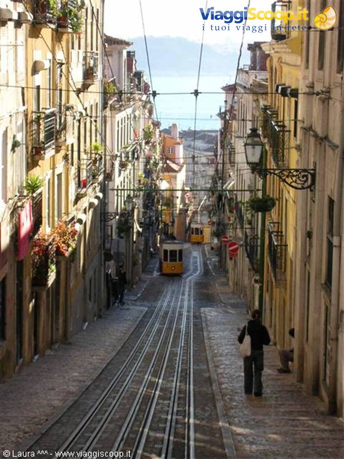ELEVADOR DA BICA