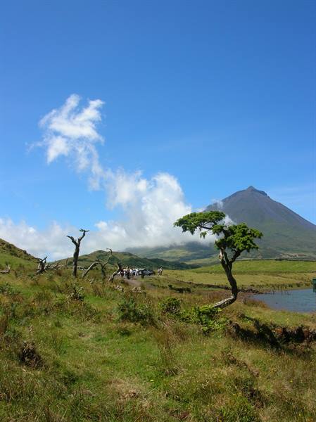 Pico Island - the Pico volcano