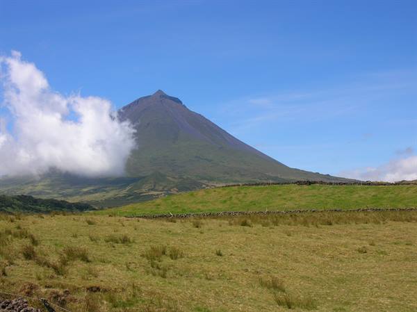 The 'Pico'